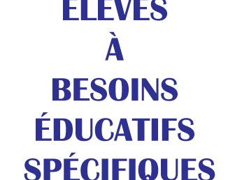 ACCUEIL DES ÉLÈVES À BESOINS ÉDUCATIFS SPÉCIFIQUES DANS LES LYCÉES FRANÇAIS DE L’ÉTRANGER