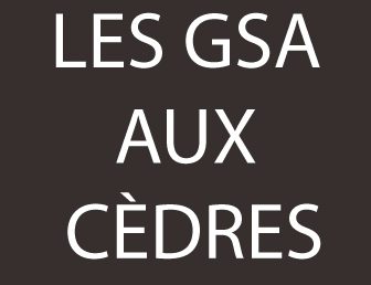 LA SORTIE DES GSA AUX CÈDRES