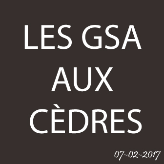 LA SORTIE DES GSA AUX CÈDRES