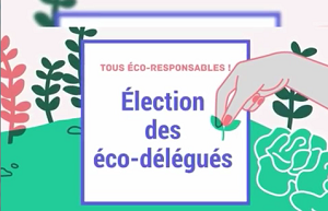 Election des délégués 2019-2020