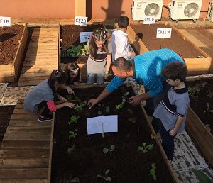 Du poulailler au jardin potager