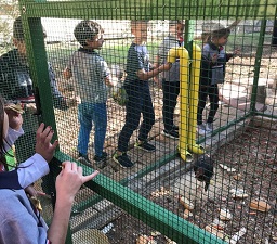 Un nouveau projet : Un poulailler à l’école