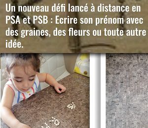 Défi des petites sections