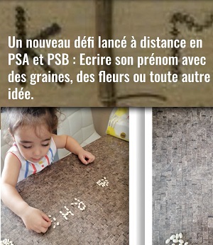 Défi des petites sections