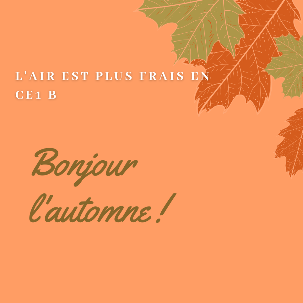 Les élèves de CE1B travaillent sur les saisons et ramassent  des feuilles...