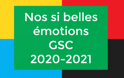 Nos si belles émotions