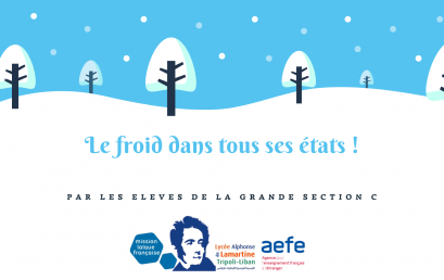 Le froid dans tous ses états !