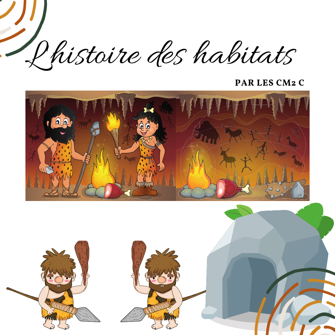 L’évolution de l’habitat.