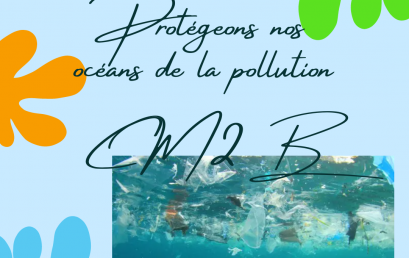 La pollution de la mer