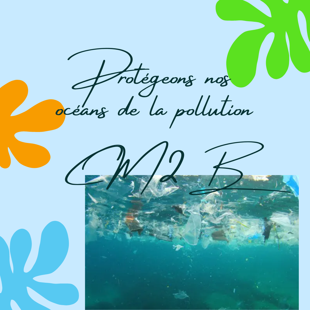 La pollution de la mer