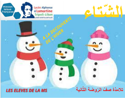 Les élèves de la MSA et de la MSB ont découvert l'hiver à travers diverses activités