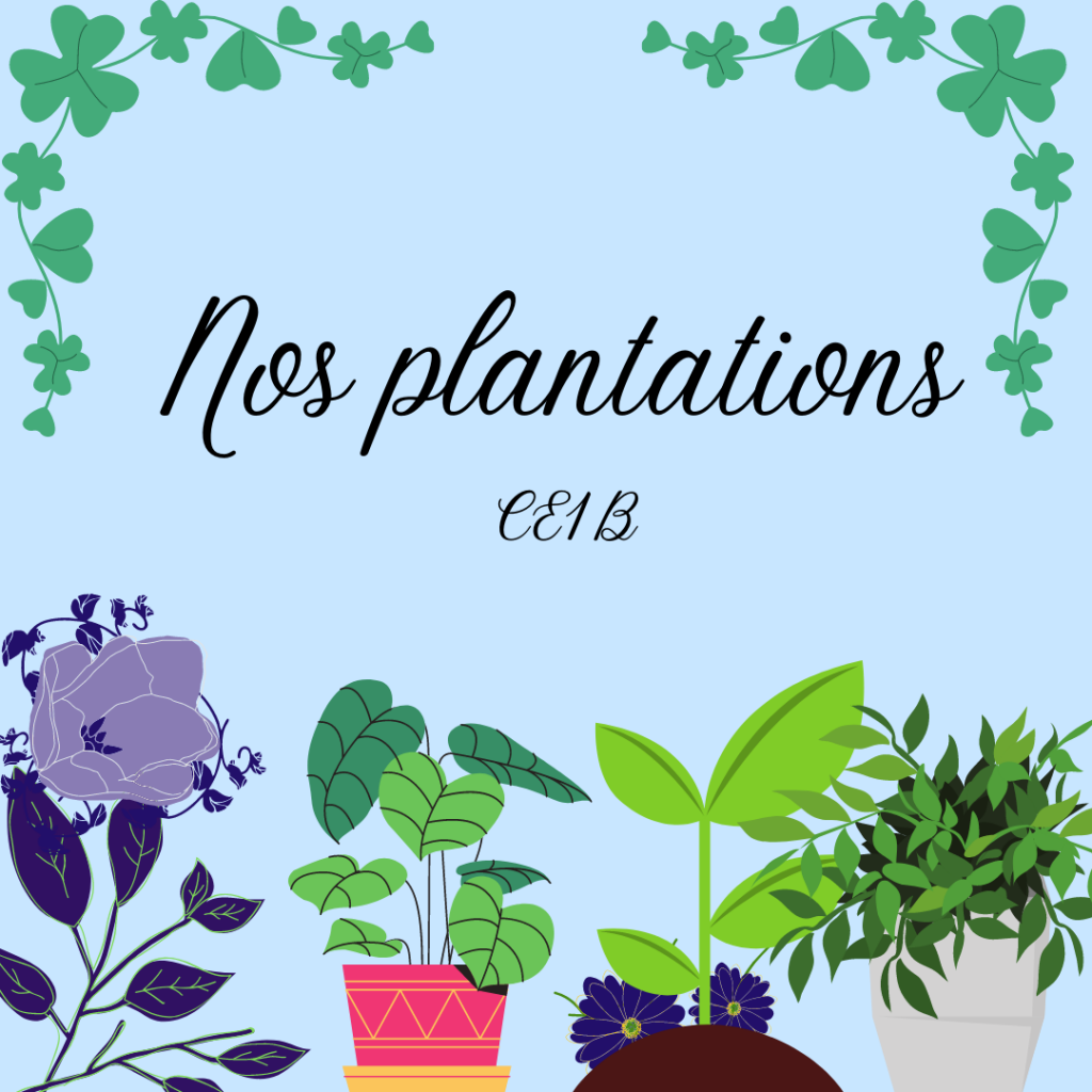 Que deviennent les jeunes plantes?
De quoi ont besoin les végétaux pour vivre et grandir?
