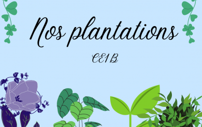 Plantation CE1B!