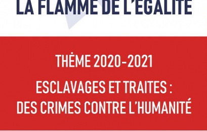 Concours « La Flamme de l’égalité » : le LADL se distingue !