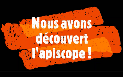 Découverte de l’apiscope par les MS/GS