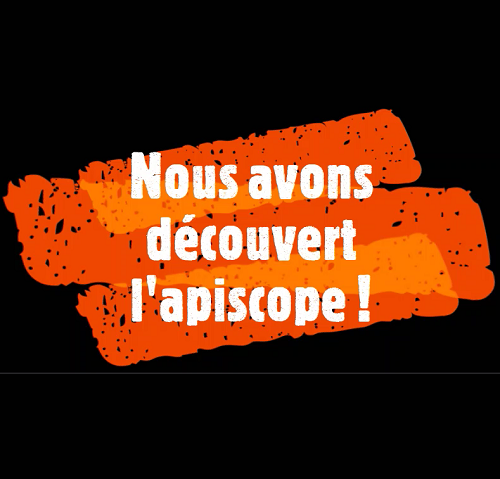 Découverte de l’apiscope par les MS/GS