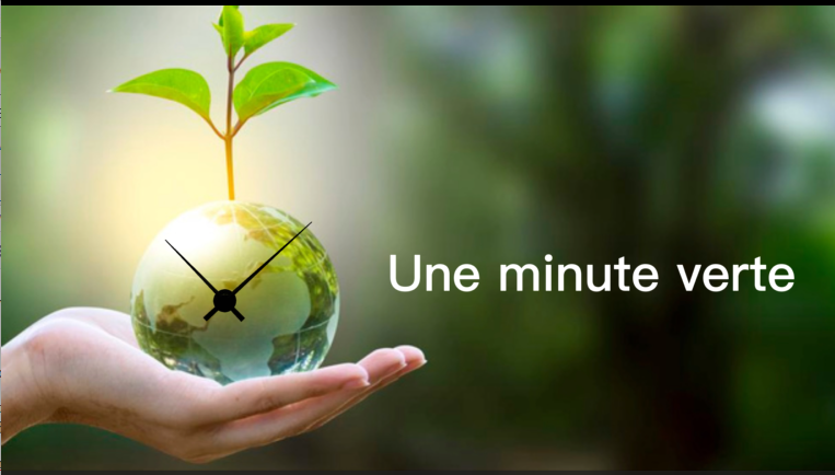 une minute verte : émission écologique