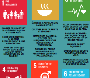 Les 17 Objectifs de Développement Durable (ODD)