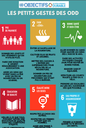 Les 17 Objectifs de Développement Durable (ODD)