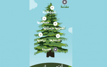 Le cèdre du Liban – projet arabe CM2A