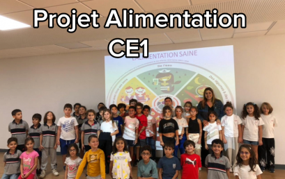 Projet Alimentation