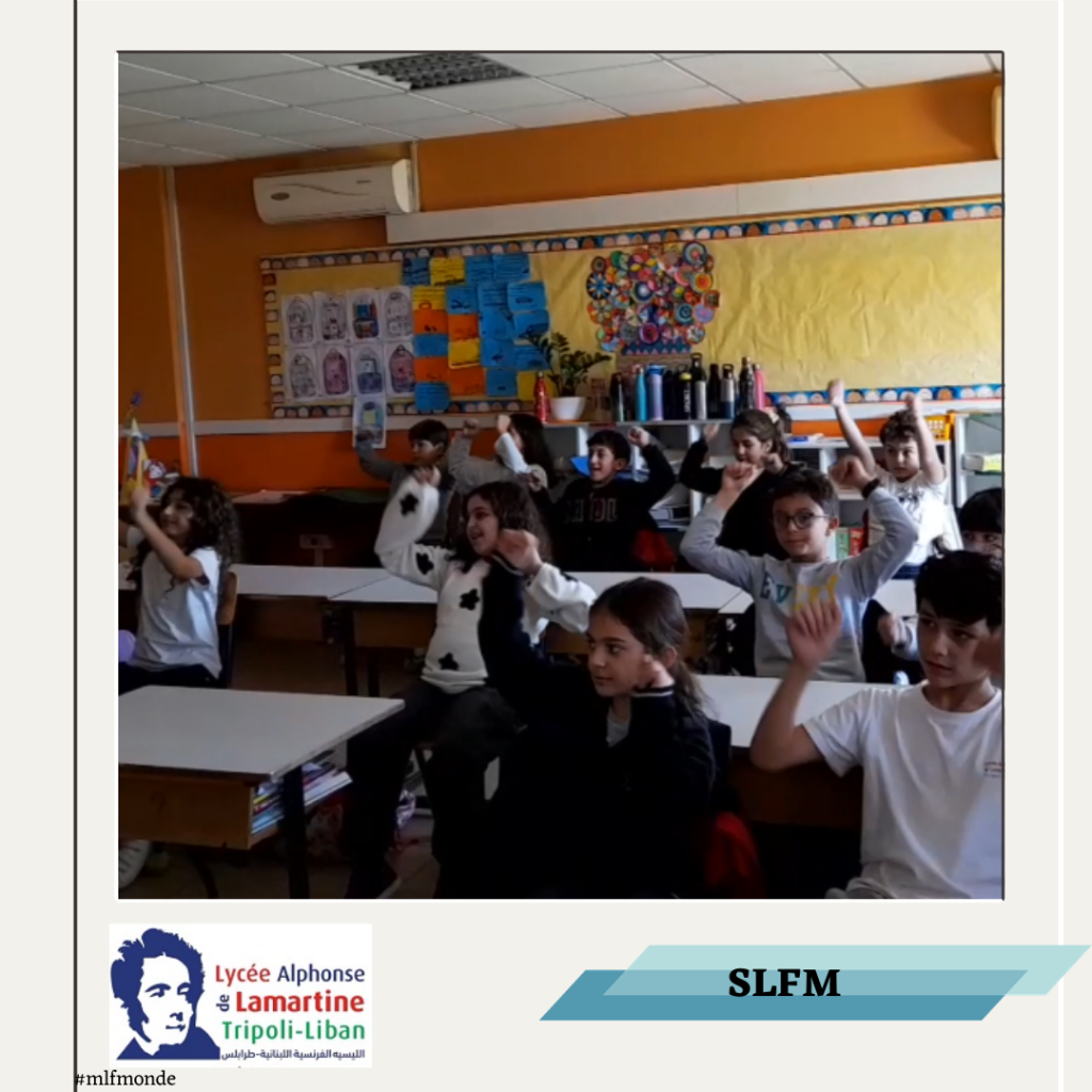 SLFM