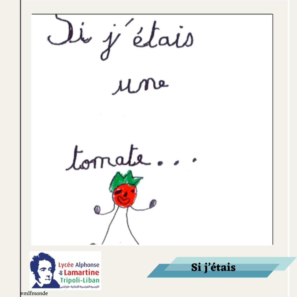Au détour d'une simple lecture offerte, les élèves créent leur