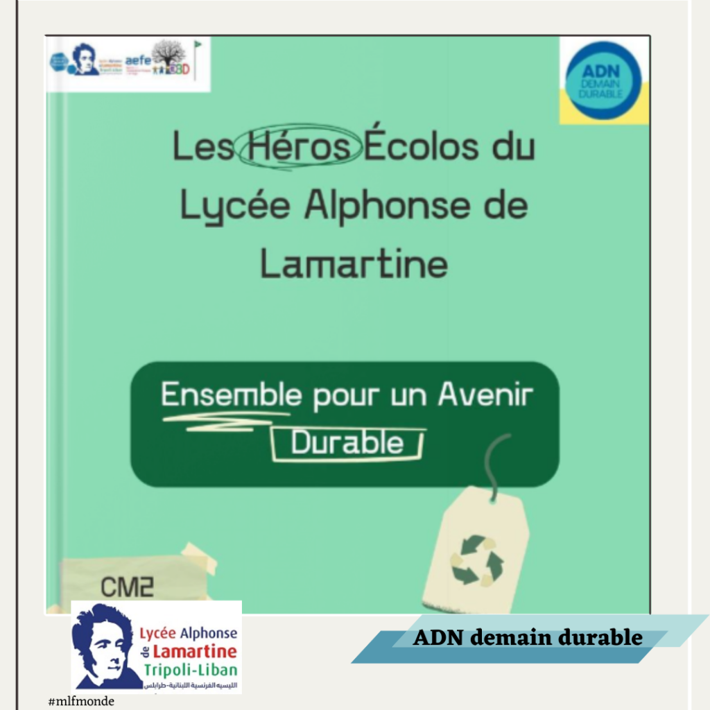 Plongez dans l'univers de nos élèves de CM2