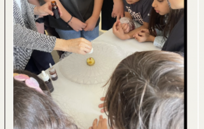 Préparations pour les journées scientifiques