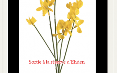 Sortie à la réserve d’Ehden des classe de CP