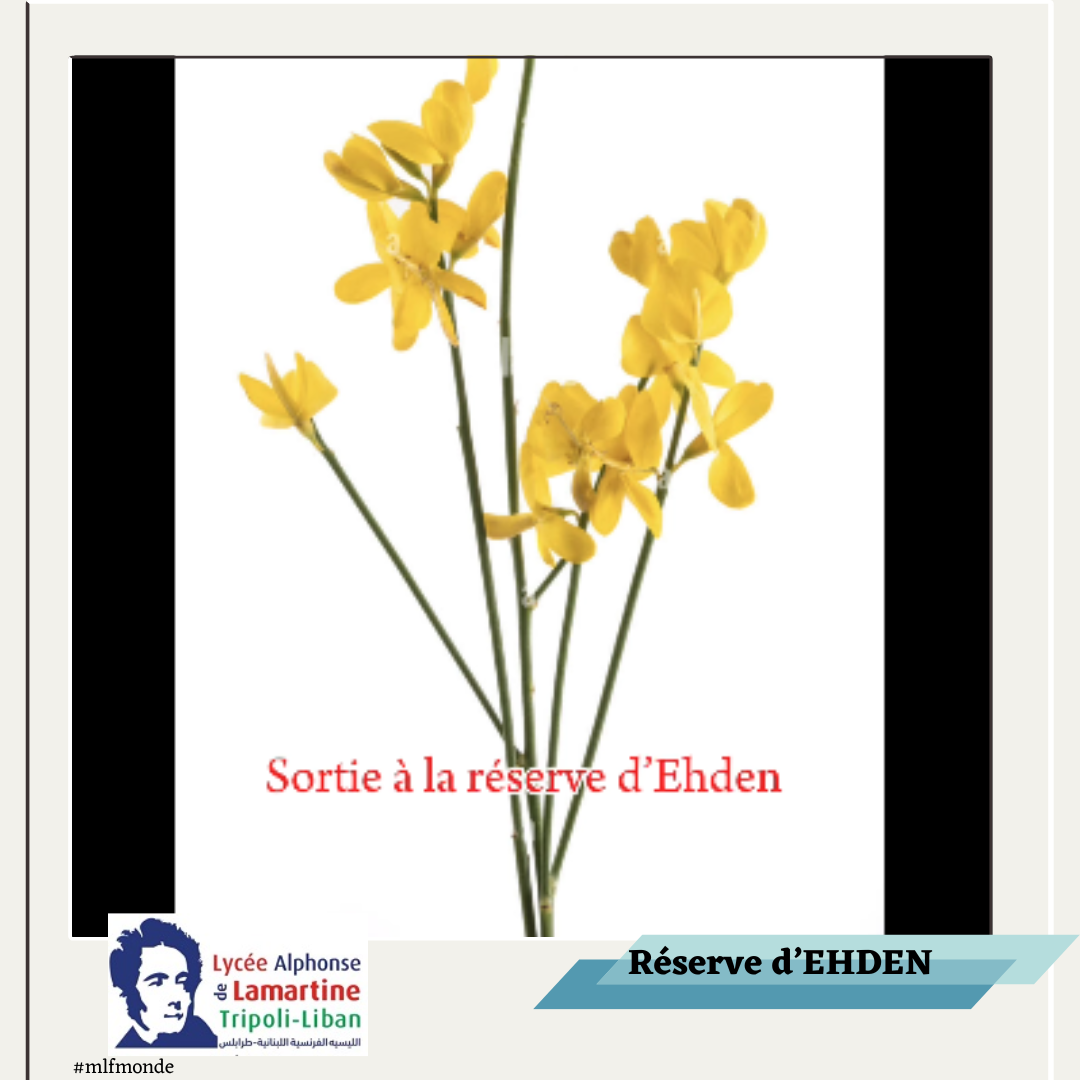 Sortie à la réserve d’Ehden des classe de CP
